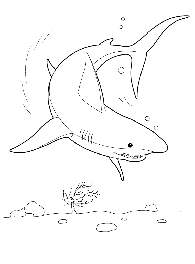 Coloriage  Requin