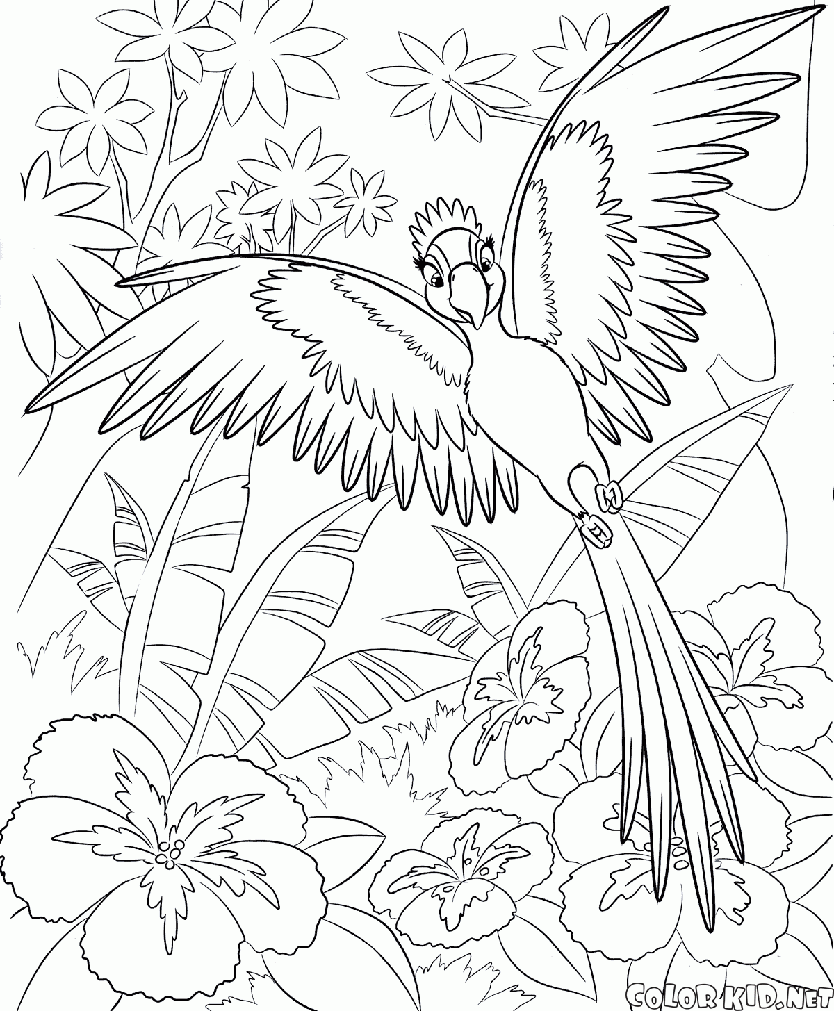 Coloriage Joyau 2