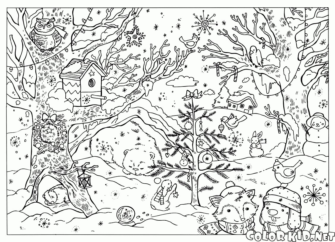 garden winter coloring pages - photo #15