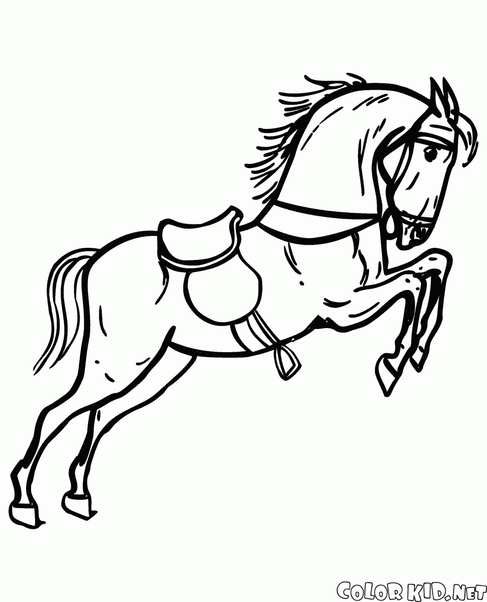 Coloriage Cheval bascule Cheval dans le cirque