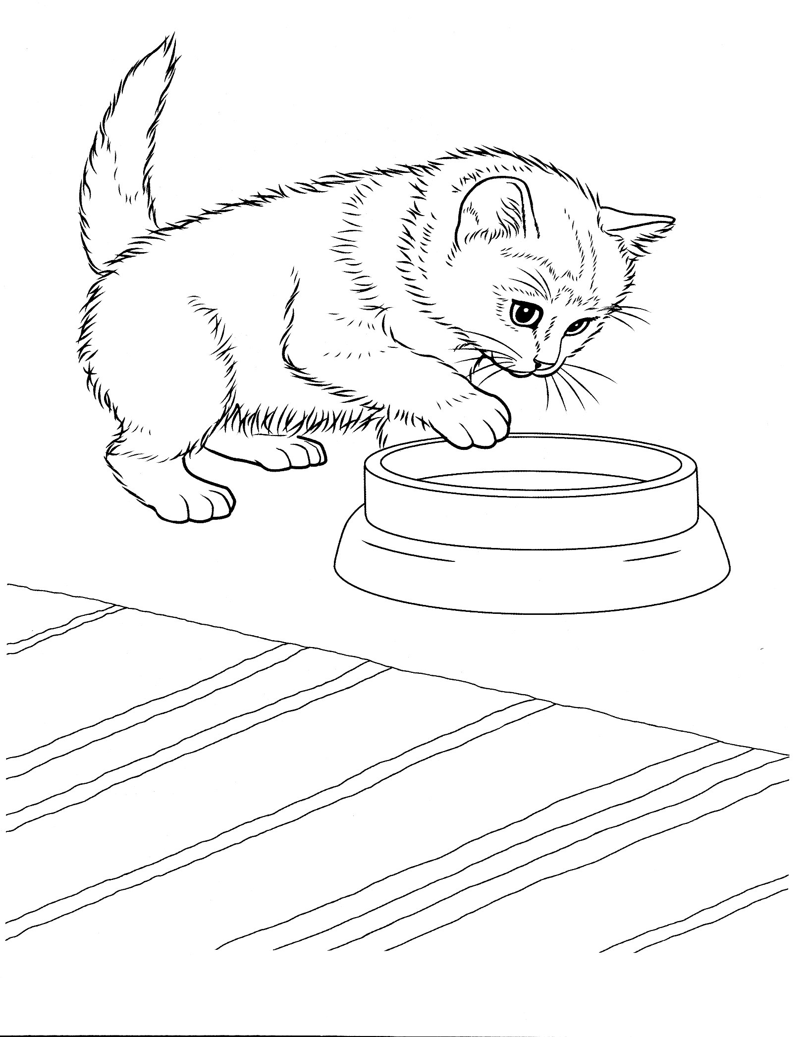 Coloriage  Javanaise chat