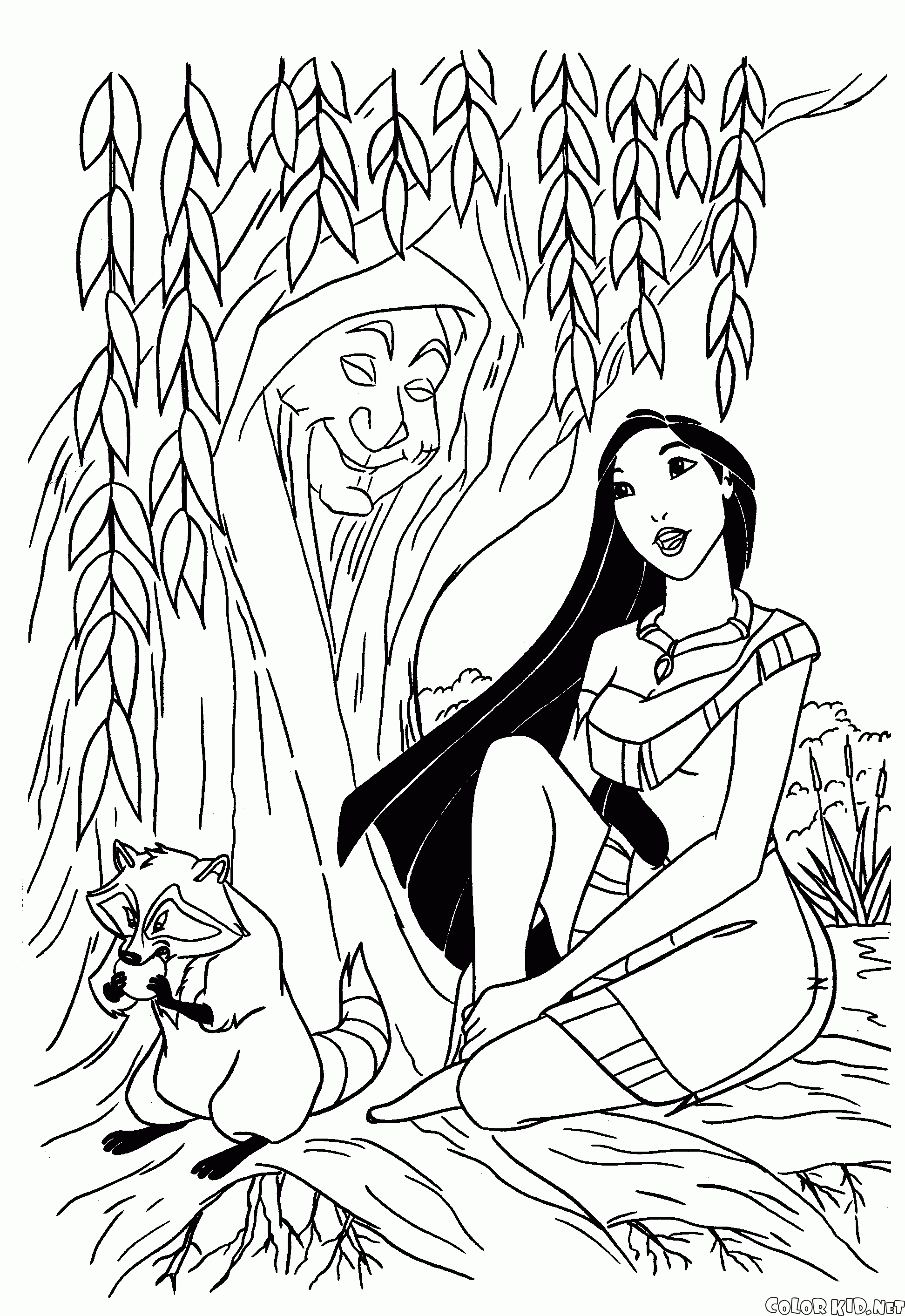 Grand-mère Willow et Pocahontas
