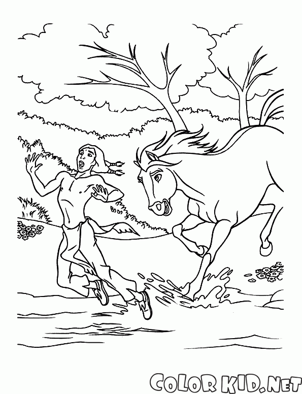 Amérindienne et le cheval
