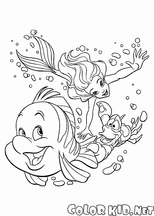 Flet Sebastian et The Little Mermaid