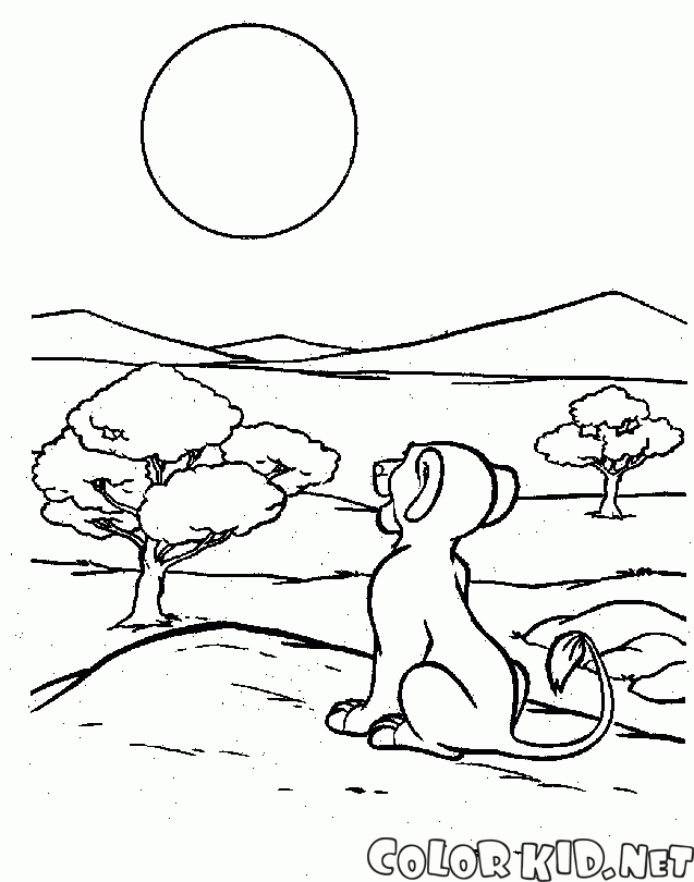 Simba et le soleil