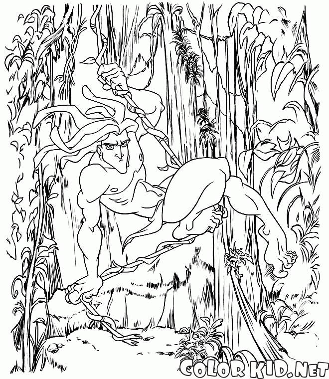 Tarzan sur une vigne