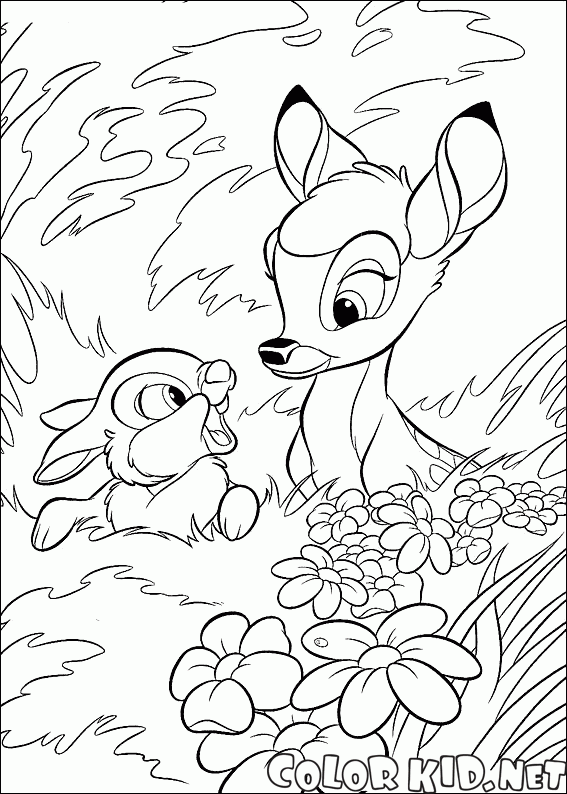 Hare et Bambi