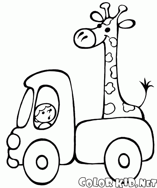 Modifier Girafe en voiture