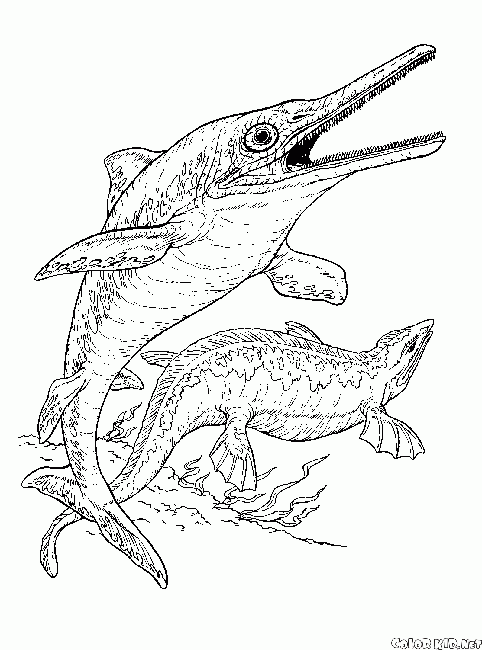Ichthyosaur et plésiosaure