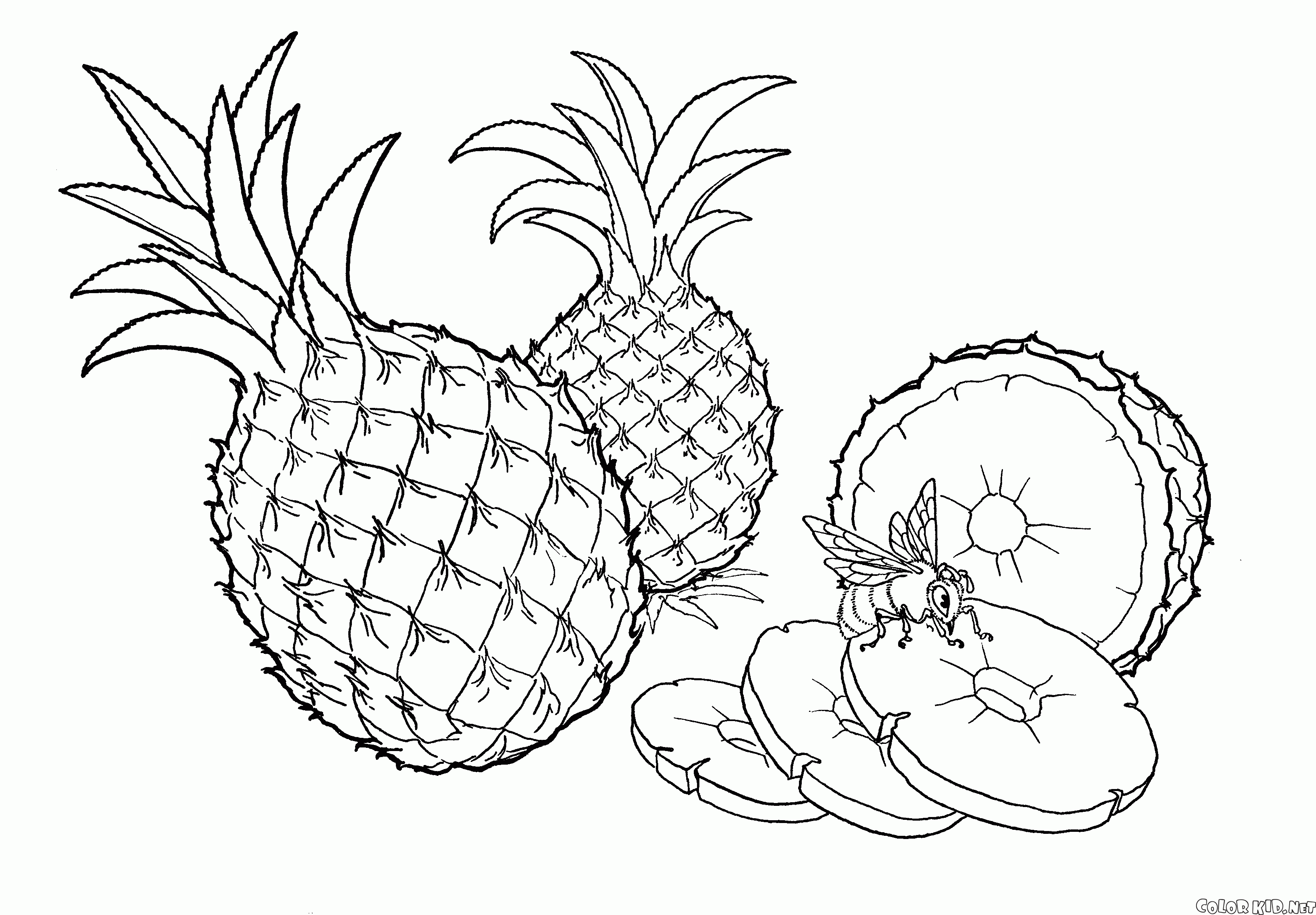 Ananas naturel