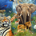 Le monde des animaux