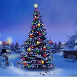 Arbres de Noël