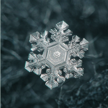 Flocons de neige