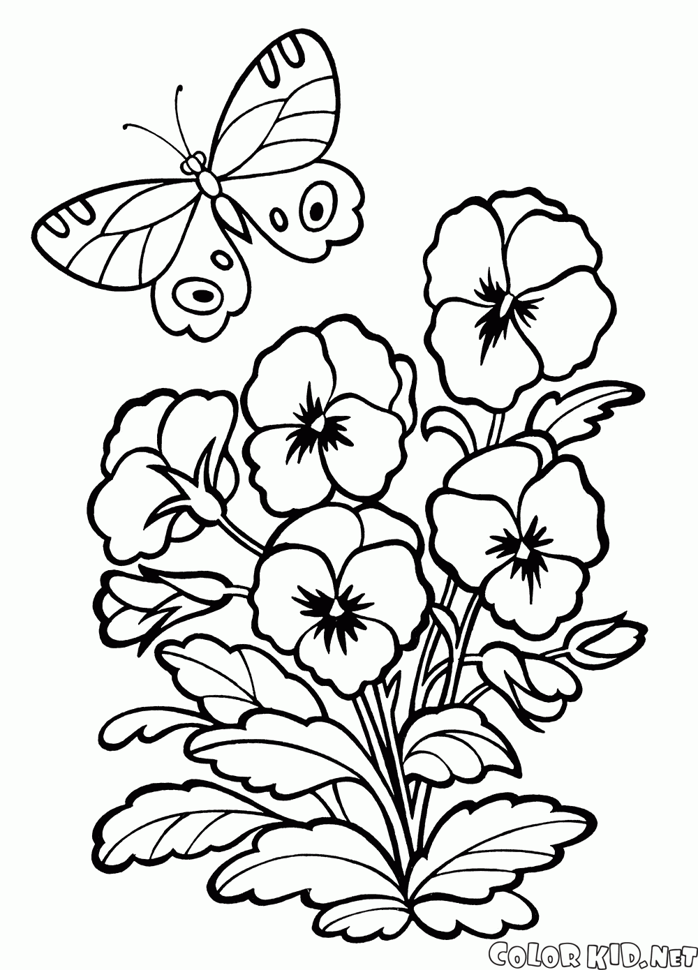 Coloriage  Fleurs