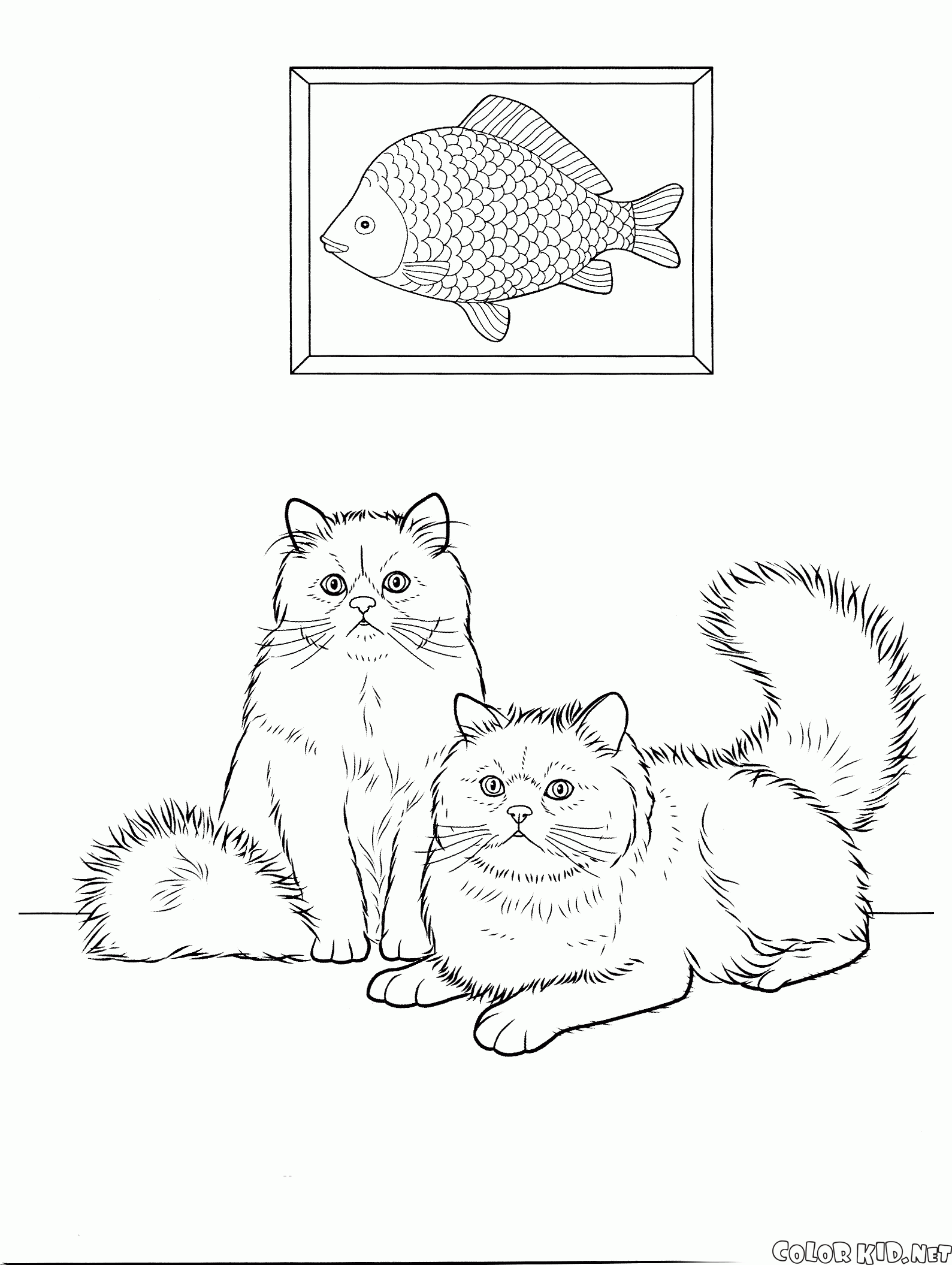 Download Coloriage - Chats
