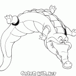 Crocodile