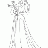 Aurora et Rose