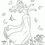Aurora marche