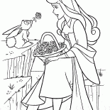 La princesse Aurore et le lièvre