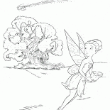 Iridessa et Comet