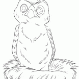 Peu Hawk - Hannah