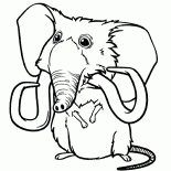 Animal de compagnie de Sandy