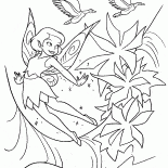 Fée et fleurs