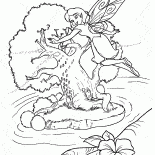 Les ailes de fées