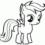 Un bon poney