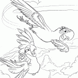 Perroquets volants