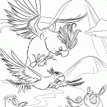 Chasing un oiseau