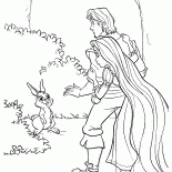 Lapin de forêt