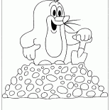 Drôle Mole