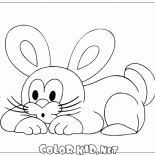 Petit lapin