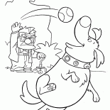 Doug aime la balle