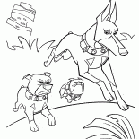 Trois chiens