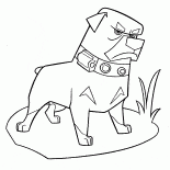 Angry dog