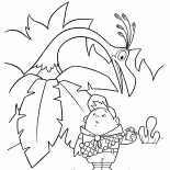 Gros oiseau
