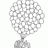 Les mouches domestiques