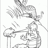Tortue