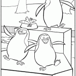 Les Pingouins de Madagascar