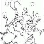 Cirque