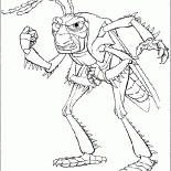Locust