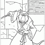 Maître Splinter