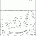 Un sur la banquise