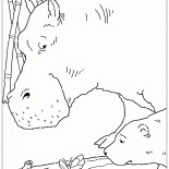 Papillon des forêts