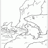 Orca sauvé Lars