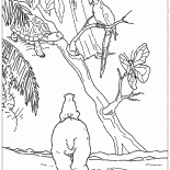 Lars sous les tropiques