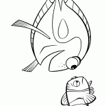 Poissons de lOcéan
