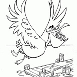 Pelican et poissons